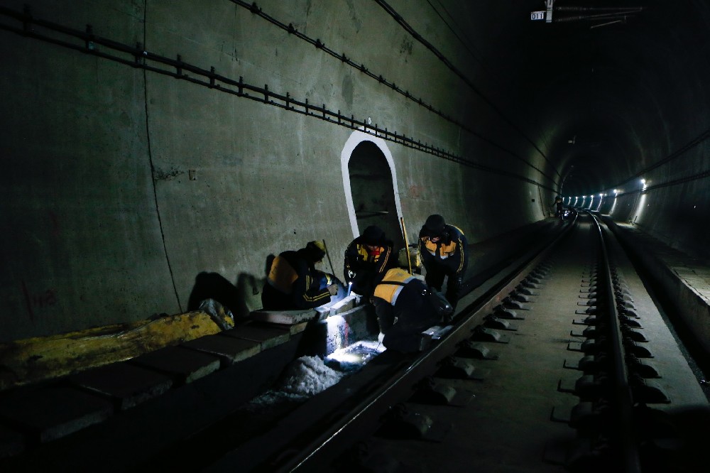 芦山铁路运营隧道病害现状